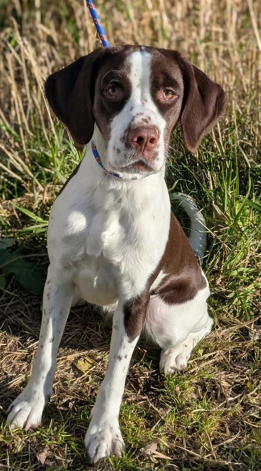 Maggie